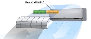 The Vitamin C filter